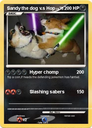 Pokemon Sandy the dog v.s Hop