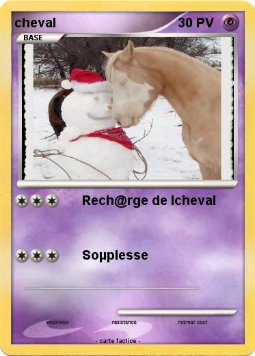 Pokemon cheval