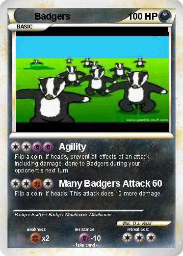 Pokemon Badgers