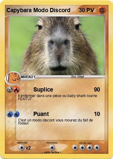 Pokemon Capybara Modo Discord
