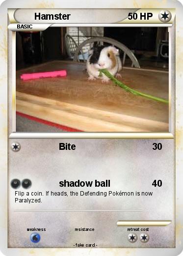 Pokemon Hamster
