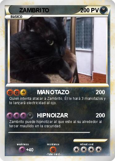 Pokemon ZAMBRITO