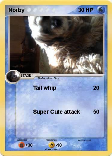 Pokemon Norby