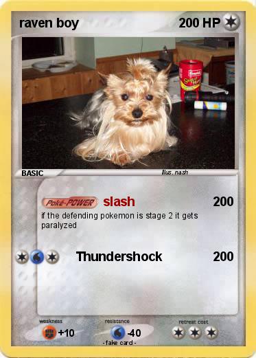Pokemon raven boy