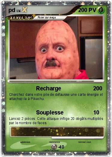 Pokemon pd