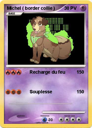 Pokemon Michel ( border collie )
