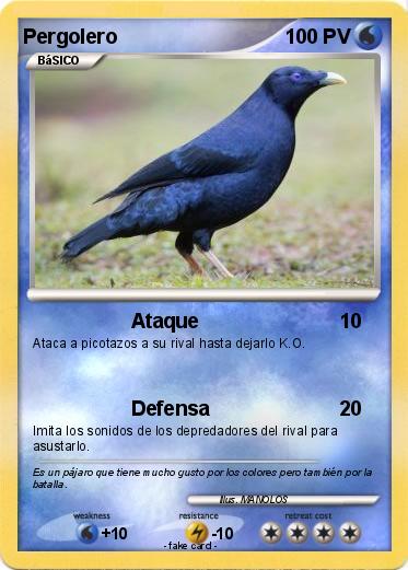 Pokemon Pergolero