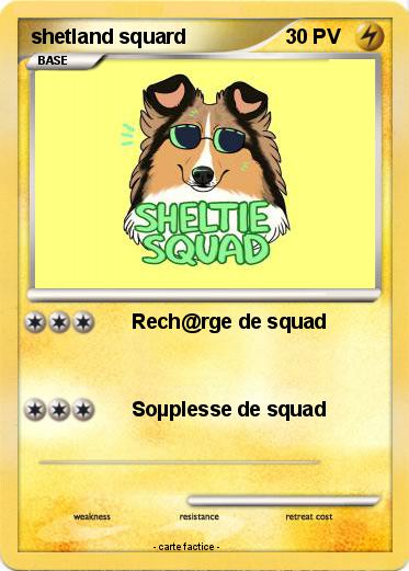 Pokemon shetland squard