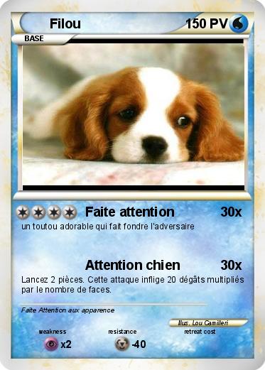 Pokemon Filou
