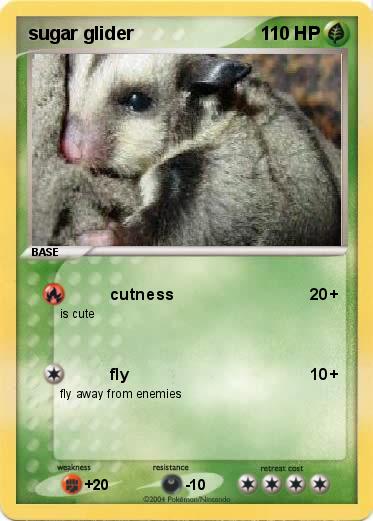 Pokemon sugar glider