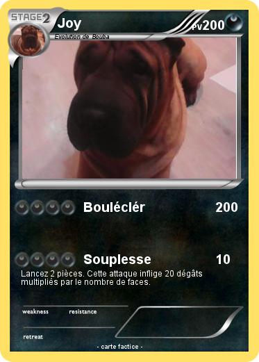 Pokemon Joy