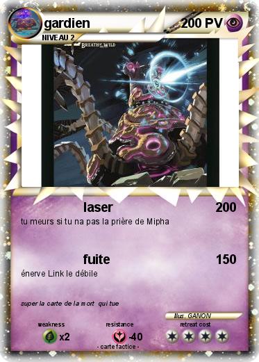 Pokemon gardien