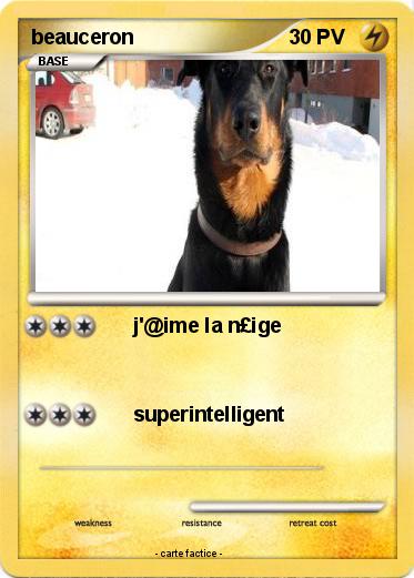 Pokemon beauceron