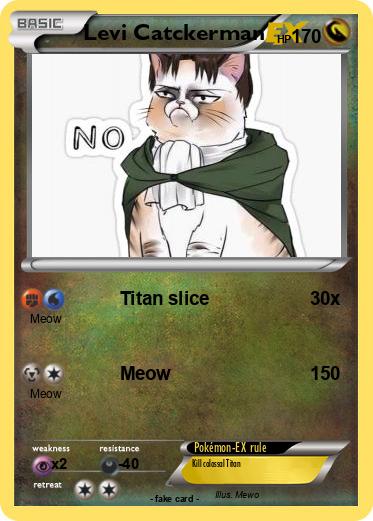 Pokemon Levi Catckerman