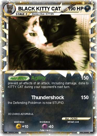 Pokemon BLACK KITTY CAT