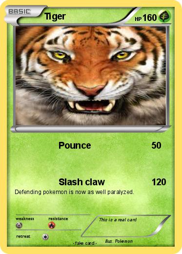 Pokemon Tiger