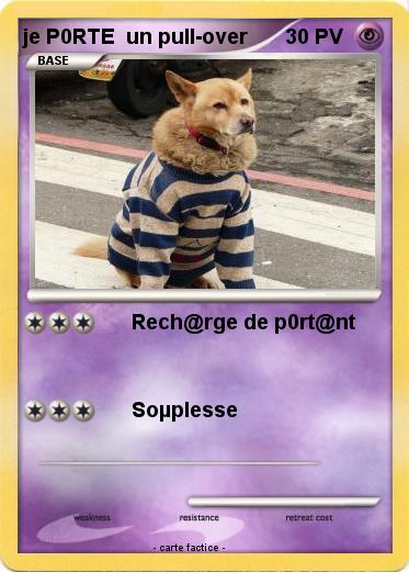 Pokemon je P0RTE  un pull-over