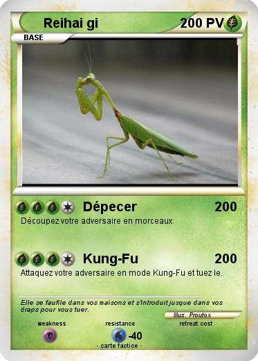 Pokemon Reihai gi