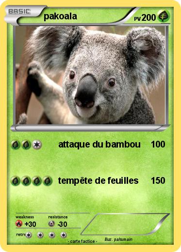 Pokemon pakoala