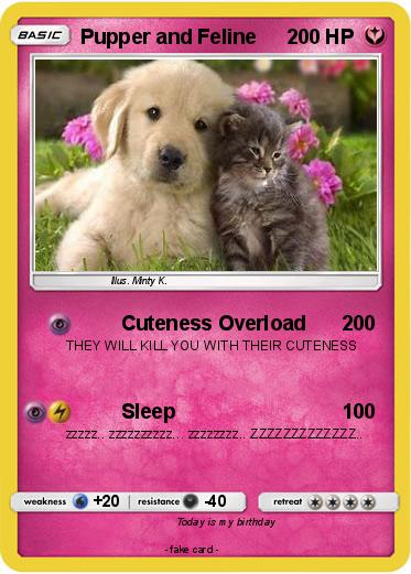 Pokemon Pupper and Feline