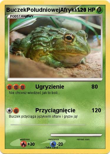 Pokemon BuczekPołudniowejAfryki