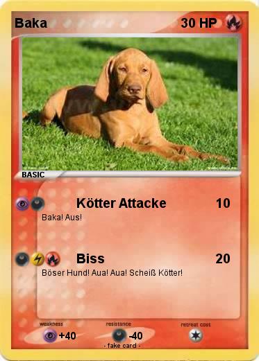 Pokemon Baka