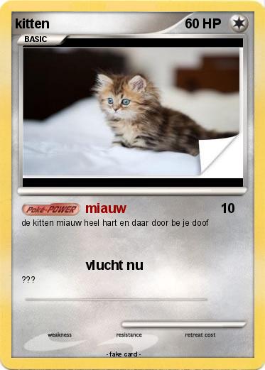 Pokemon kitten