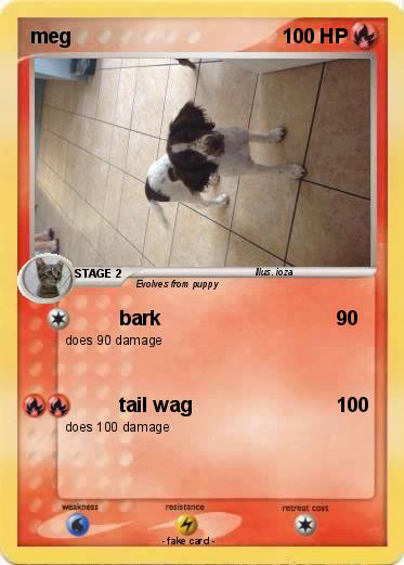 Pokemon meg