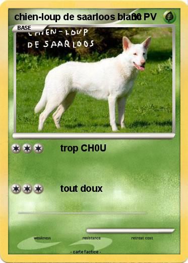 Pokemon chien-loup de saarloos blanc
