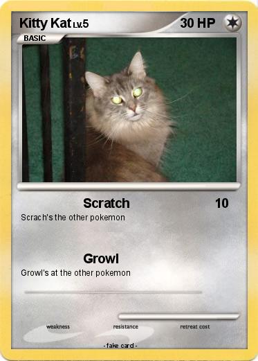 Pokemon Kitty Kat