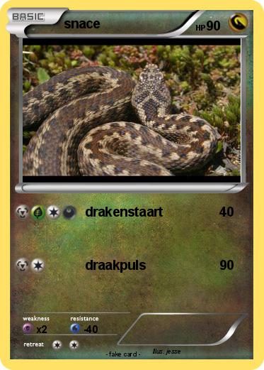 Pokemon snace