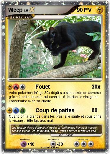 Pokemon Weep