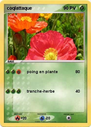 Pokemon coqlattaque