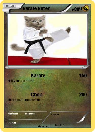 Pokemon karate kitten                      0