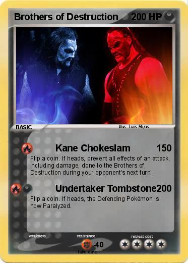 Pokemon Brothers of Destruction
