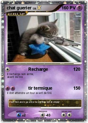 Pokemon chat guerier