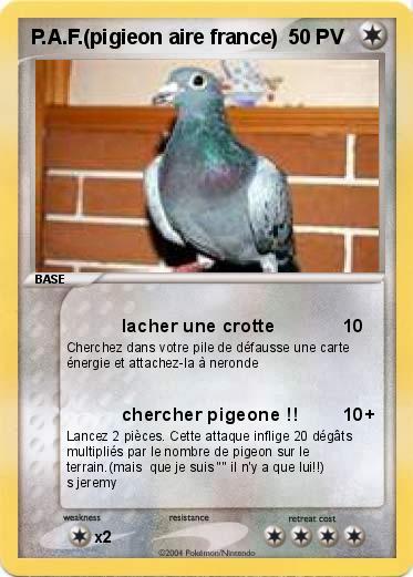 Pokemon P.A.F.(pigieon aire france)
