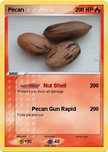 Pokemon Pecan