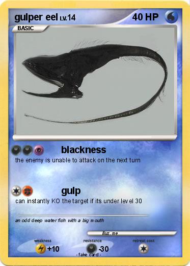 Pokemon gulper eel