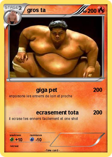 Pokemon gros ta