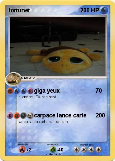 Pokemon tortunet