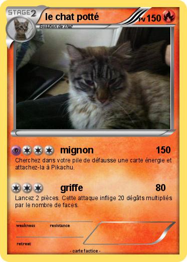 Pokemon le chat potté