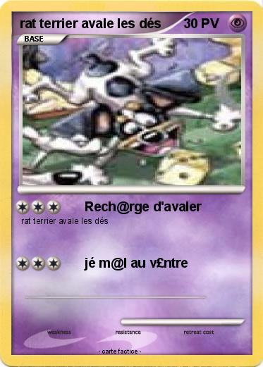 Pokemon rat terrier avale les dés