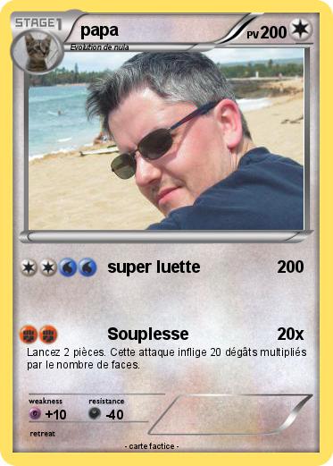 Pokemon papa