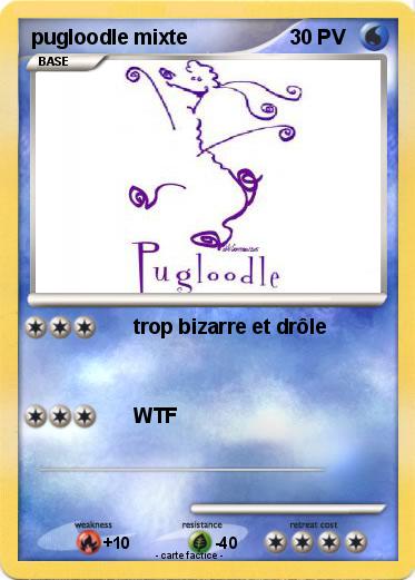 Pokemon pugloodle mixte