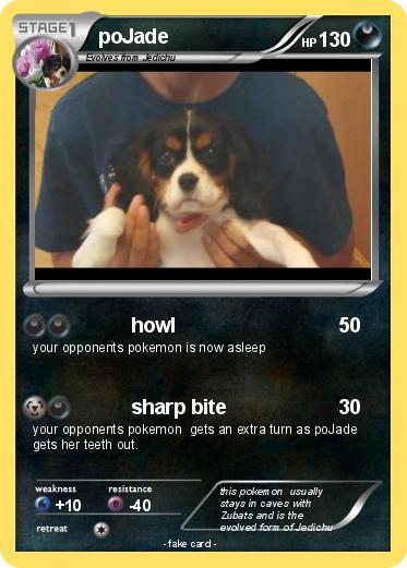 Pokemon poJade