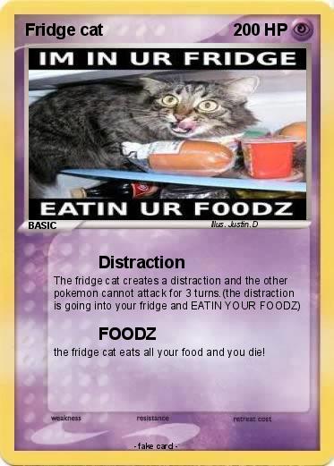 Pokemon Fridge cat