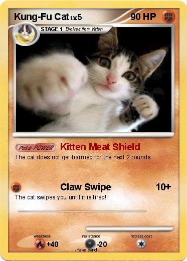 Pokemon Kung-Fu Cat