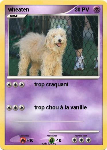 Pokemon wheaten