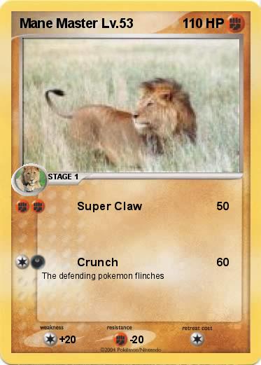 Pokemon Mane Master Lv.53